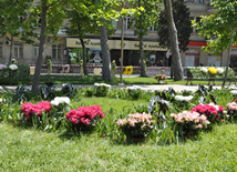 Flower festival in Baku, Azerbaijan, May 10, 2012