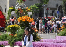 Flower festival in Baku, Azerbaijan, May 10, 2012