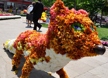 Flower festival in Baku, Azerbaijan, May 10, 2012