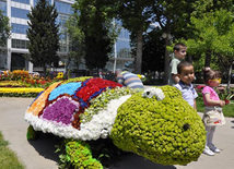 Flower festival in Baku, Azerbaijan, May 10, 2012