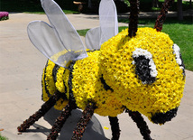 Flower festival in Baku, Azerbaijan, May 10, 2012