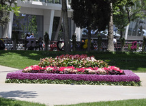 Flower festival in Baku, Azerbaijan, May 10, 2012