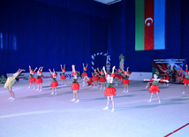 Azerbaijan Championship on Rhythmic Gymnastics. Baku, Azerbaijan, June 27, 2012