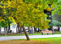 Autumn – season rich in colors. Baku, Azerbaijan, Nov.01, 2012