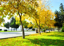 Autumn – season rich in colors. Baku, Azerbaijan, Nov.01, 2012