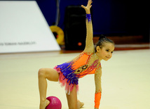 Bədii gimnastika üzrə 19-cu Azərbaycan birinciliyi keçirilib. Bakı, Azərbaycan, 16 noyabr 2012