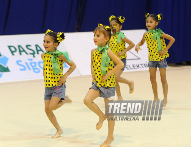 The 19th Azerbaijani Rhythmic Gymnastics Championship ended. Baku, Azerbaijan, Nov.17, 2012 