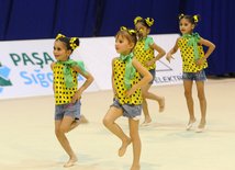 Bədii gimnastika üzrə 19-cu Azərbaycan birinciliyi başa çatıb. Bakı, Azərbaycan, 17 noyabr 2012