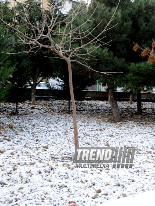 First snow in Baku. Azerbaijan, Dec.16, 2012