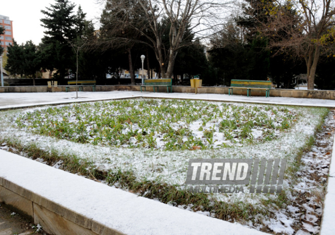 First snow in Baku. Azerbaijan, Dec.16, 2012