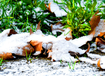 First snow in Baku. Azerbaijan, Dec.16, 2012