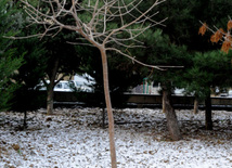 First snow in Baku. Azerbaijan, Dec.16, 2012