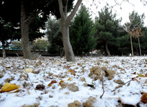 First snow in Baku. Azerbaijan, Dec.16, 2012