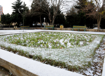 First snow in Baku. Azerbaijan, Dec.16, 2012