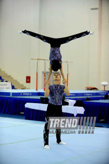 İdman gimnastikası, akrobatika və tamblinq üzrə birgə yarışlar. Bakı, Azərbaycan, 22 dekabr 2012