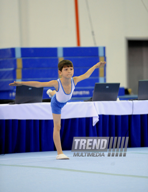 İdman gimnastikası, akrobatika və tamblinq üzrə birgə yarışlar. Bakı, Azərbaycan, 22 dekabr 2012