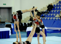 İdman gimnastikası, akrobatika və tamblinq üzrə birgə yarışlar. Bakı, Azərbaycan, 22 dekabr 2012