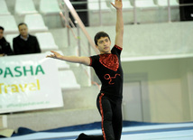 İdman gimnastikası, akrobatika və tamblinq üzrə birgə yarışlar. Bakı, Azərbaycan, 22 dekabr 2012