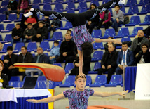 İdman gimnastikası, akrobatika və tamblinq üzrə birgə yarışlar. Bakı, Azərbaycan, 22 dekabr 2012