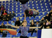 İdman gimnastikası, akrobatika və tamblinq üzrə birgə yarışlar. Bakı, Azərbaycan, 22 dekabr 2012