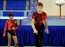 İdman gimnastikası, akrobatika və tamblinq üzrə birgə yarışlar. Bakı, Azərbaycan, 22 dekabr 2012