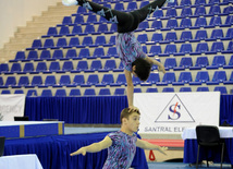 İdman gimnastikası, akrobatika və tamblinq üzrə birgə yarışlar. Bakı, Azərbaycan, 22 dekabr 2012