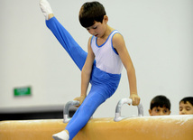 İdman gimnastikası, akrobatika və tamblinq üzrə birgə yarışlar. Bakı, Azərbaycan, 22 dekabr 2012