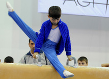 İdman gimnastikası, akrobatika və tamblinq üzrə birgə yarışlar. Bakı, Azərbaycan, 22 dekabr 2012