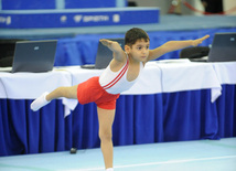 İdman gimnastikası, akrobatika və tamblinq üzrə birgə yarışlar. Bakı, Azərbaycan, 22 dekabr 2012