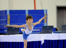 İdman gimnastikası, akrobatika və tamblinq üzrə birgə yarışlar. Bakı, Azərbaycan, 22 dekabr 2012