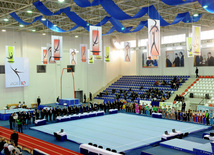 İdman gimnastikası, akrobatika və tamblinq üzrə birgə yarışlar. Bakı, Azərbaycan, 22 dekabr 2012