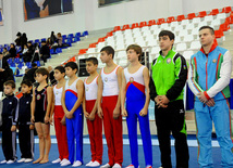 İdman gimnastikası, akrobatika və tamblinq üzrə birgə yarışlar. Bakı, Azərbaycan, 22 dekabr 2012