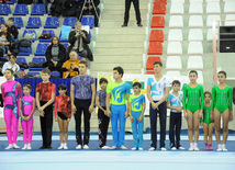 İdman gimnastikası, akrobatika və tamblinq üzrə birgə yarışlar. Bakı, Azərbaycan, 22 dekabr 2012