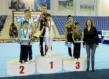 İdman gimnastikası, akrobatika və tamblinq üzrə birgə yarışlar başa çatıb. Bakı, Azərbaycan, 23 dekabr 2012