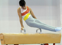 İdman gimnastikası, akrobatika və tamblinq üzrə birgə yarışlar başa çatıb. Bakı, Azərbaycan, 23 dekabr 2012