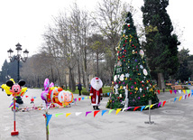 New Year is coming... Baku, Azerbaijan, Dec.31, 2012