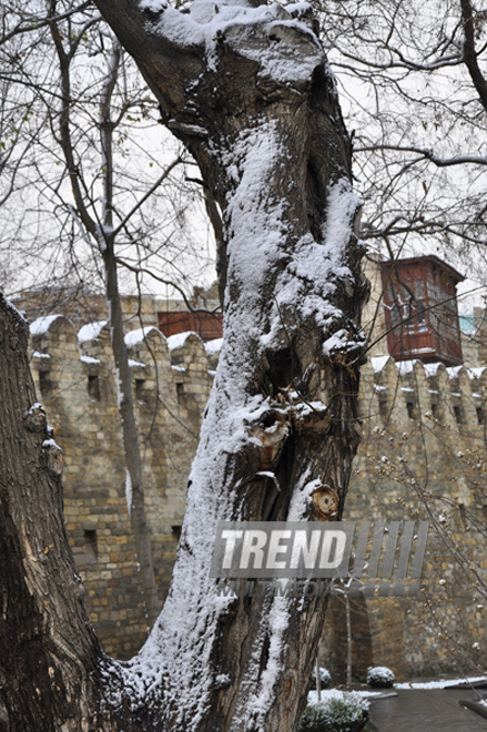 Bakının qar mənzərələri. Azərbaycan, 11 yanvar 2013