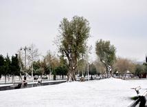 Bakının qar mənzərələri. Azərbaycan, 11 yanvar 2013