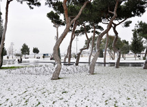 Bakının qar mənzərələri. Azərbaycan, 11 yanvar 2013