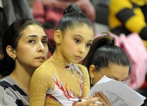 Bədii gimnastika üzrə 20-ci Bakı birinciliyi. Bakı, Azərbaycan, 01 fevral 2013