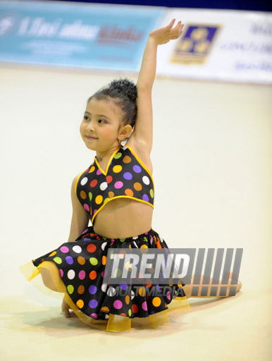 Второй день соревнований ХХ первенства Баку по художественной гимнастике. Баку, Азербайджан, 02 февраля 2013 г.
