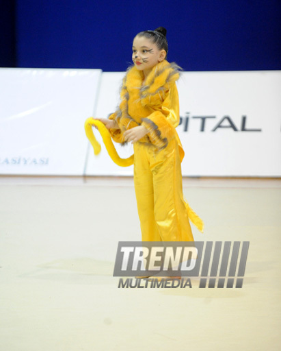 Второй день соревнований ХХ первенства Баку по художественной гимнастике. Баку, Азербайджан, 02 февраля 2013 г.