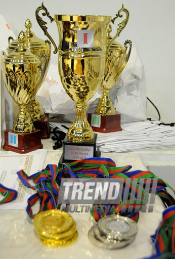 Второй день соревнований ХХ первенства Баку по художественной гимнастике. Баку, Азербайджан, 02 февраля 2013 г.