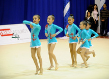 Второй день соревнований ХХ первенства Баку по художественной гимнастике. Баку, Азербайджан, 02 февраля 2013 г.