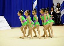 Второй день соревнований ХХ первенства Баку по художественной гимнастике. Баку, Азербайджан, 02 февраля 2013 г.