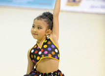 Второй день соревнований ХХ первенства Баку по художественной гимнастике. Баку, Азербайджан, 02 февраля 2013 г.