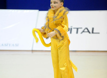 Bədii Gimnastika üzrə 20-ci Bakı çempionatının ikinci günü. Bakı, Azərbaycan, 02 fevral 2013