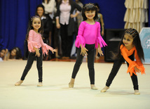 Второй день соревнований ХХ первенства Баку по художественной гимнастике. Баку, Азербайджан, 02 февраля 2013 г.