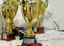 Второй день соревнований ХХ первенства Баку по художественной гимнастике. Баку, Азербайджан, 02 февраля 2013 г.