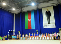 Второй день соревнований ХХ первенства Баку по художественной гимнастике. Баку, Азербайджан, 02 февраля 2013 г.